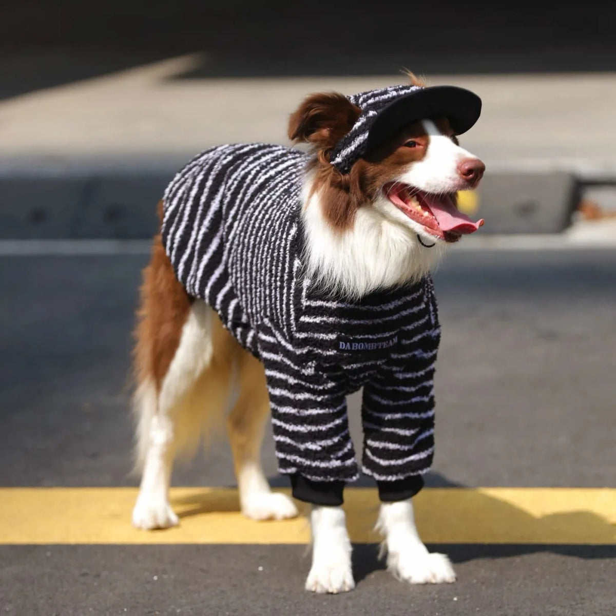 Stripe Dog Sweater Warm Fleece Hoodies Winter Dog Clothes for Medium Large Dogs, Long Sleeve Pullover Coat Pet Apparel