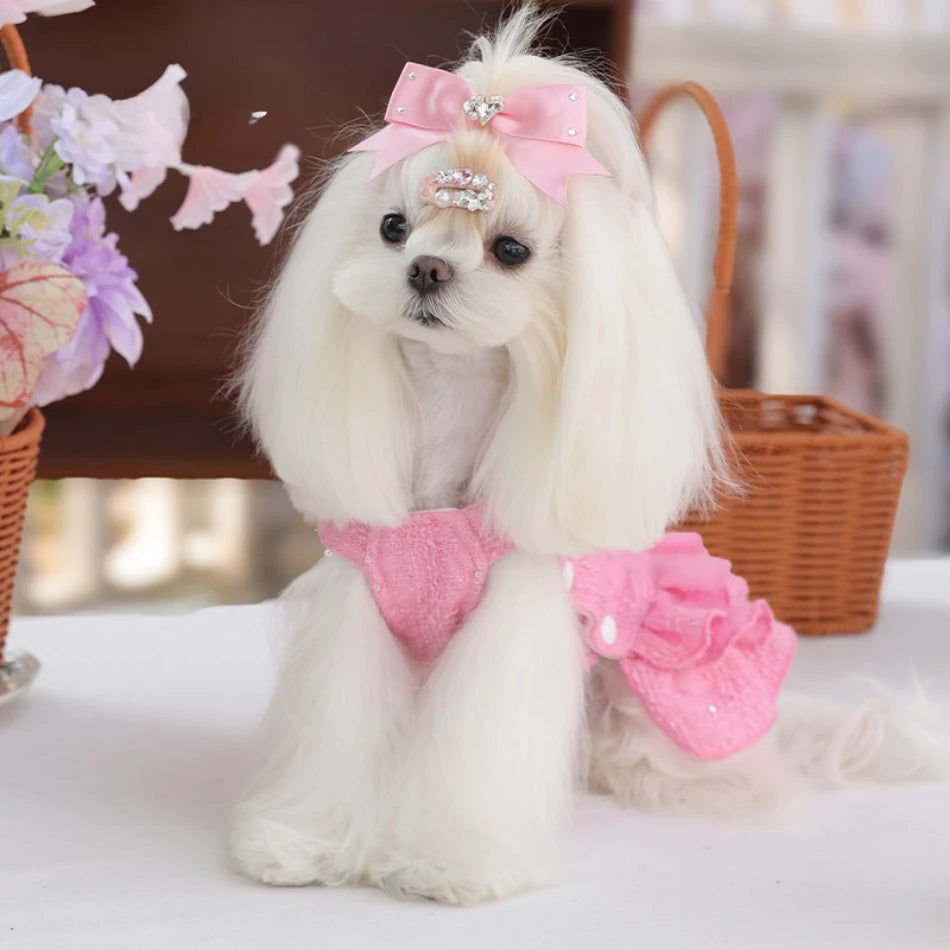 Cat Dress Puppy Pet Apparel Small Dog Clothes Winter Chihuahua Yorkie Pomeranian Yorkshire Terrier Shih Tzu Maltese Dog Clothing