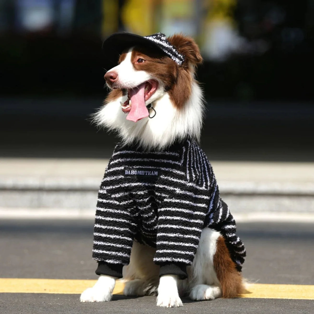 Stripe Dog Sweater Warm Fleece Hoodies Winter Dog Clothes for Medium Large Dogs, Long Sleeve Pullover Coat Pet Apparel