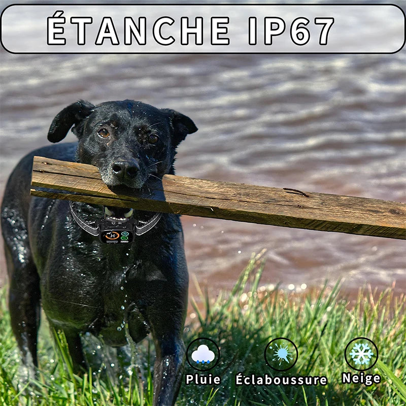 Pet Dog Bark Collar Features Sound Vibration Function IP67 Waterproof Rating Dual Motor Vibration LED Color Display Rechargeable