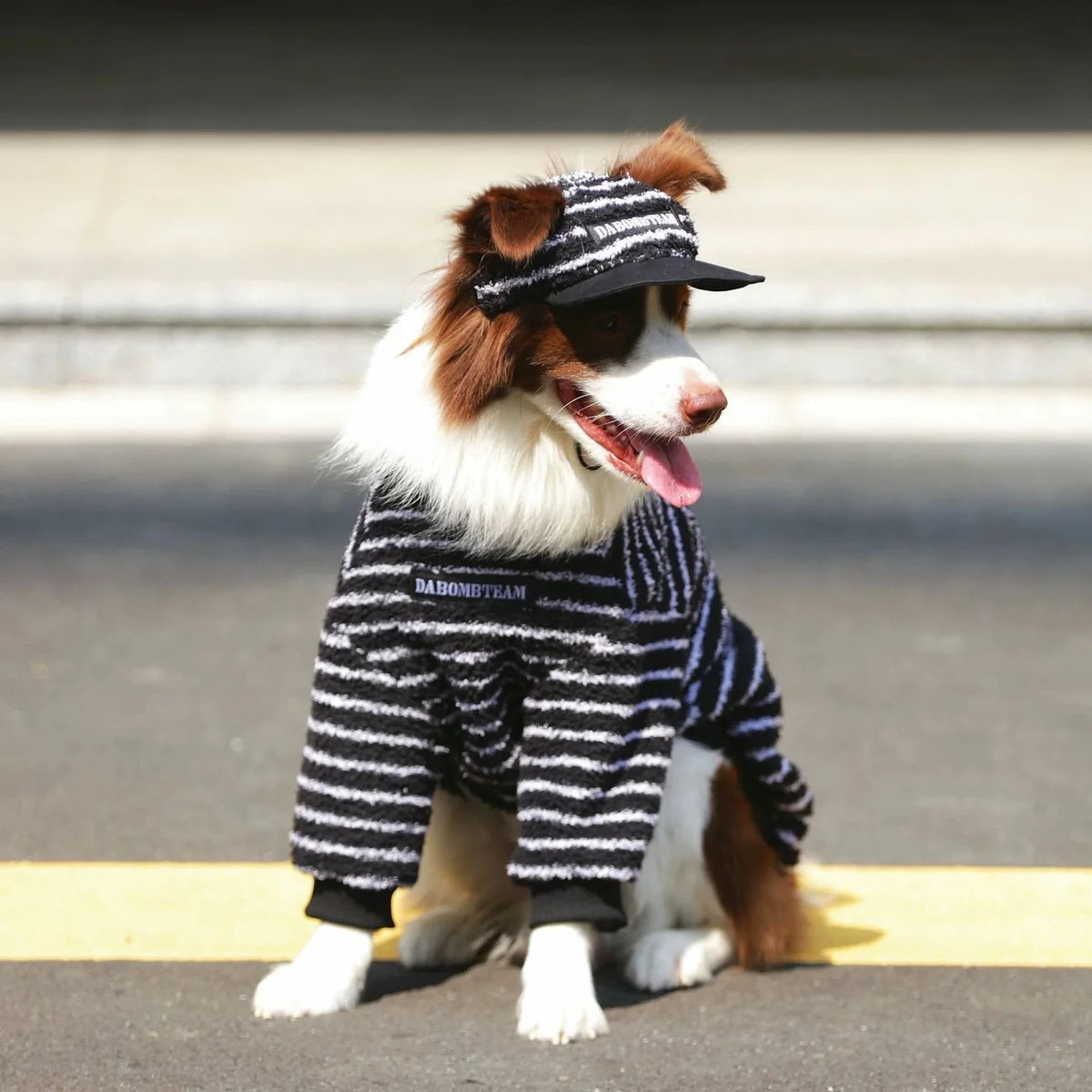 Stripe Dog Sweater Warm Fleece Hoodies Winter Dog Clothes for Medium Large Dogs, Long Sleeve Pullover Coat Pet Apparel